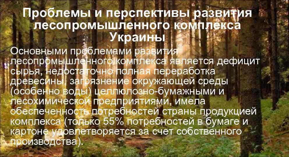 Проблемы и перспективы развития лесопромышленного комплекса Украины Основными проблемами развития лесопромышленного комплекса является дефицит