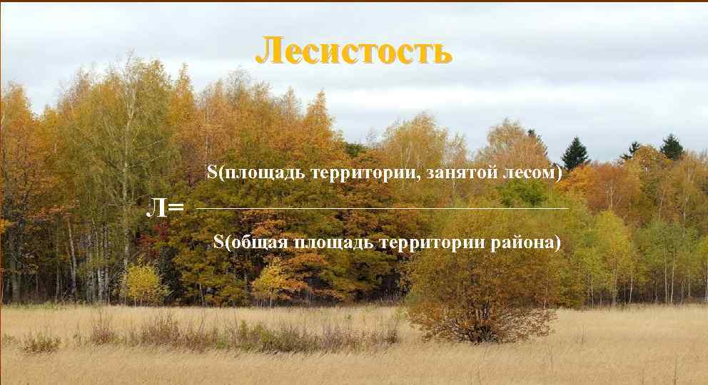 Лесистость S(площадь территории, занятой лесом) Л= S(общая площадь территории района) 