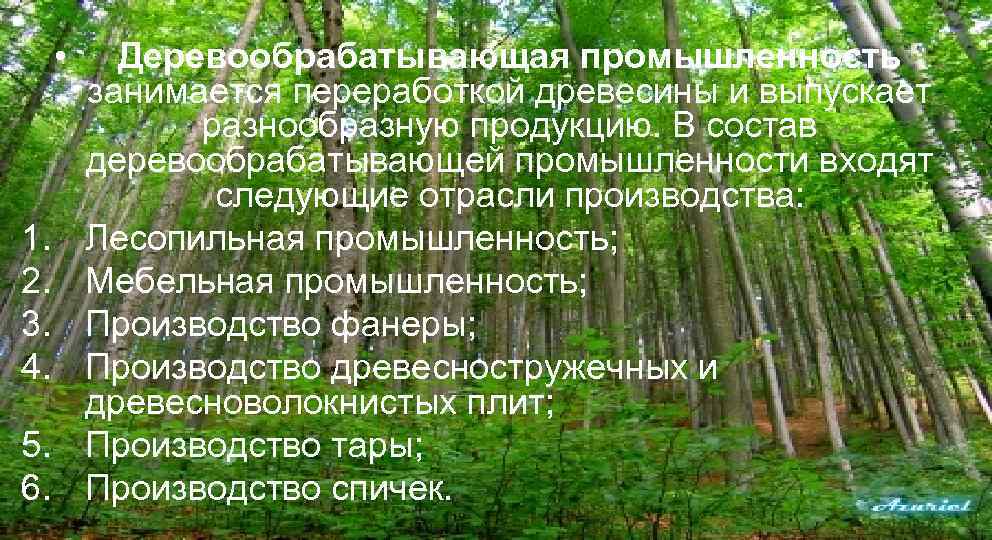  • 1. 2. 3. 4. 5. 6. Деревообрабатывающая промышленность занимается переработкой древесины и