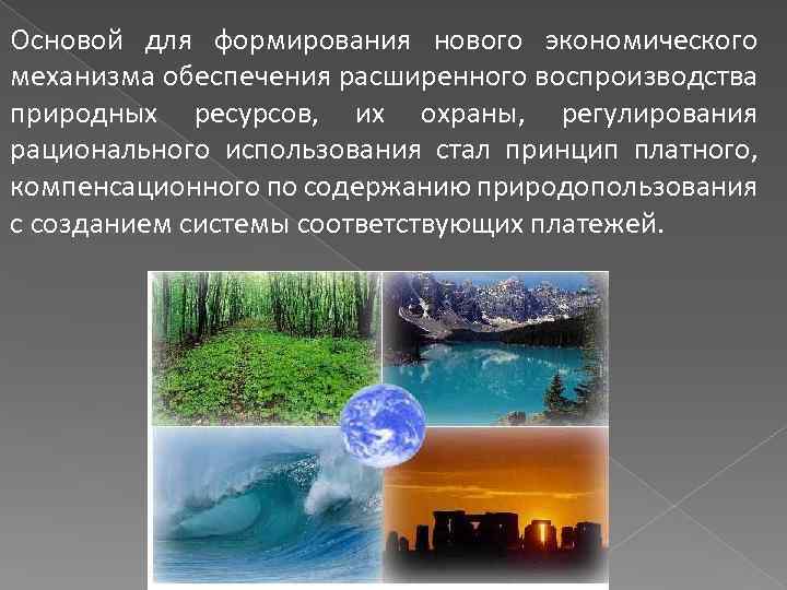 Основой для формирования нового экономического механизма обеспечения расширенного воспроизводства природных ресурсов, их охраны, регулирования