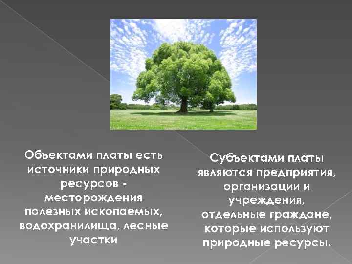 Объектами платы есть источники природных ресурсов месторождения полезных ископаемых, водохранилища, лесные участки Субъектами платы