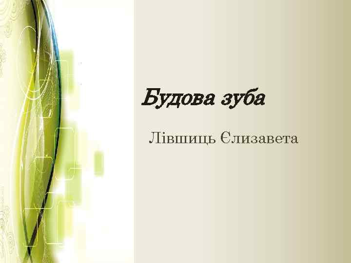 Будова зуба Лівшиць Єлизавета 