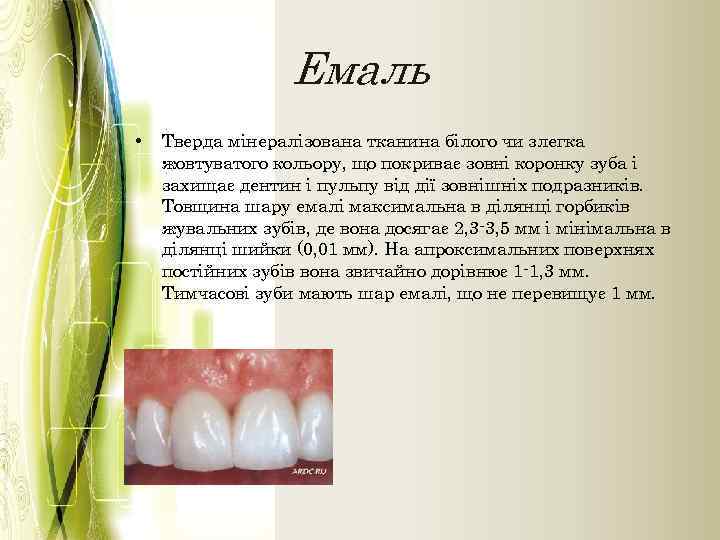 Емаль • Тверда мінералізована тканина білого чи злегка жовтуватого кольору, що покриває зовні коронку