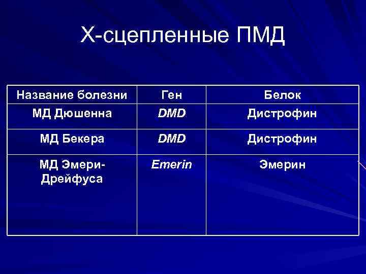 X-сцепленные ПМД Название болезни МД Дюшенна Ген DMD Белок Дистрофин МД Бекера DMD Дистрофин