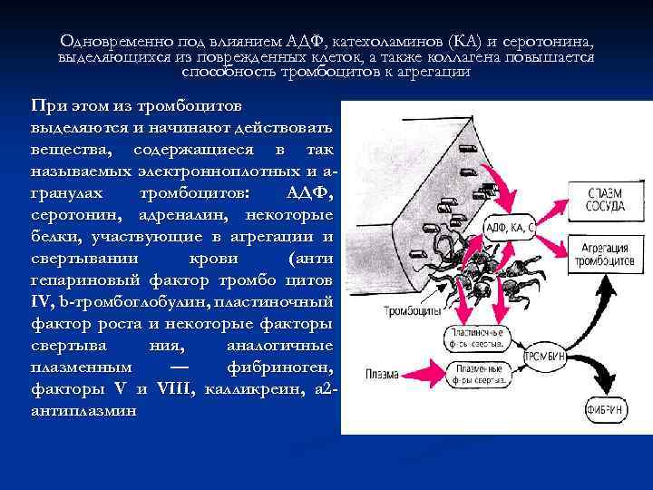 Одновременно под влиянием АДФ, катехоламинов (КА) и серотонина, выделяющихся из поврежденных клеток, а также