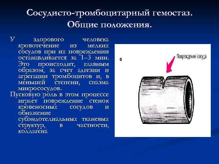 Сосудисто-тромбоцитарный гемостаз. Общие положения. У здорового человека кровотечение из мелких сосудов при их повреждении