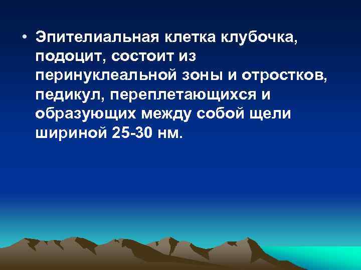  • Эпителиальная клетка клубочка, подоцит, состоит из перинуклеальной зоны и отростков, педикул, переплетающихся