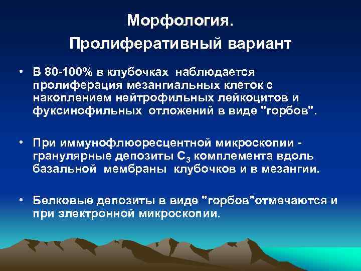 Морфология. Пролиферативный вариант • В 80 -100% в клубочках наблюдается пролиферация мезангиальных клеток с