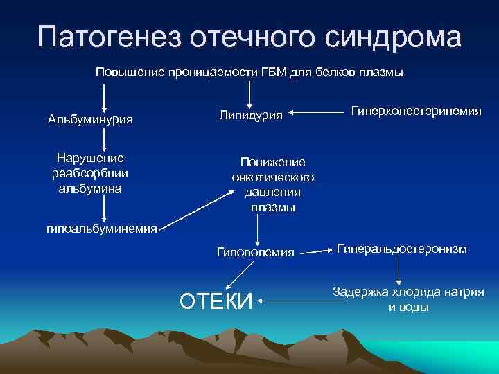 Патогенез отечного синдрома Повышение проницаемости ГБМ для белков плазмы Альбуминурия Нарушение реабсорбции альбумина Липидурия