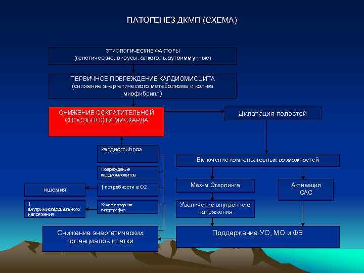 ПАТОГЕНЕЗ ДКМП (СХЕМА) ЭТИОЛОГИЧЕСКИЕ ФАКТОРЫ (генетические, вирусы, алкоголь, аутоиммунные) ПЕРВИЧНОЕ ПОВРЕЖДЕНИЕ КАРДИОМИОЦИТА (снижение энергетического