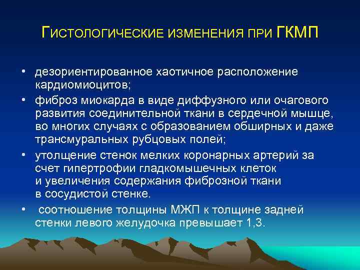ГИСТОЛОГИЧЕСКИЕ ИЗМЕНЕНИЯ ПРИ ГКМП • дезориентированное хаотичное расположение кардиомиоцитов; • фиброз миокарда в виде
