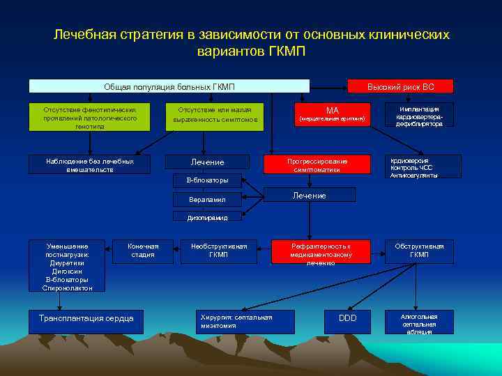 Лечебная стратегия в зависимости от основных клинических вариантов ГКМП Общая популяция больных ГКМП Отсутствие