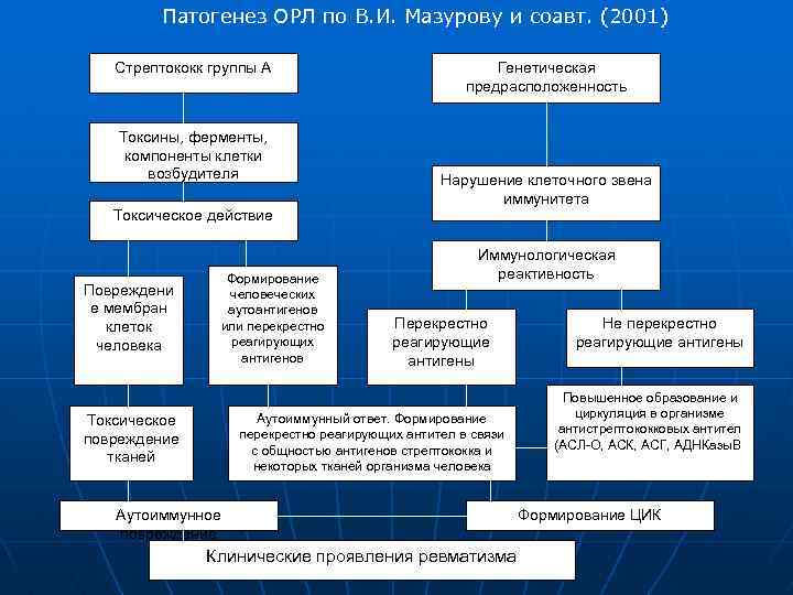 Этиология острой ревматической лихорадки