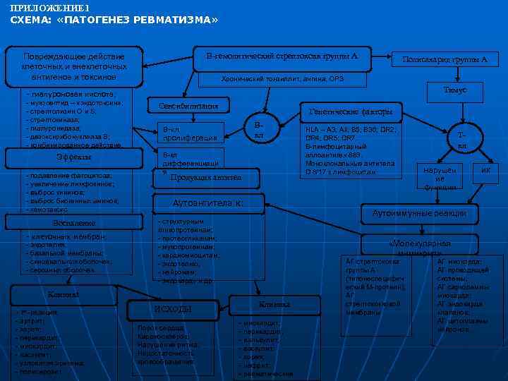 ПРИЛОЖЕНИЕ 1 СХЕМА: «ПАТОГЕНЕЗ РЕВМАТИЗМА» Β-гемолитический стрептококк группы А Повреждающее действие клеточных и внеклеточных