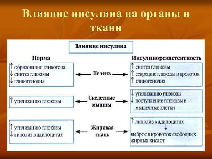 Влияние инсулина на органы и ткани 