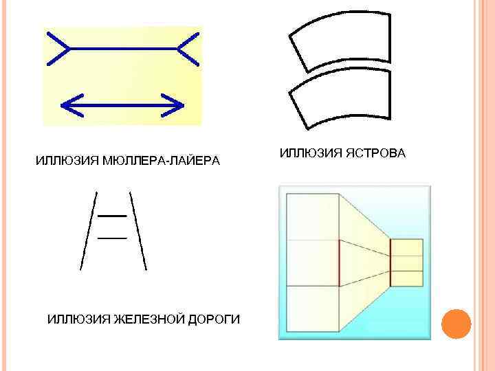 ИЛЛЮЗИЯ МЮЛЛЕРА-ЛАЙЕРА ИЛЛЮЗИЯ ЖЕЛЕЗНОЙ ДОРОГИ ИЛЛЮЗИЯ ЯСТРОВА 