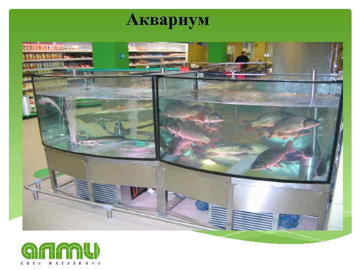 Аквариум 