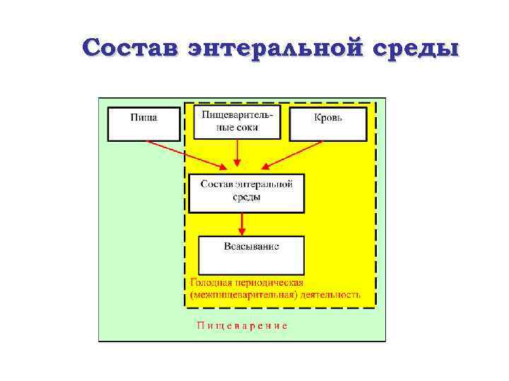 Состав энтеральной среды 