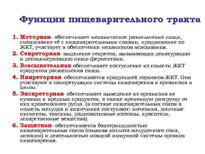 Функции пищеварительного тракта 1. Моторная– обеспечивает механическое размельчение пищи, 2. 3. 4. 5. 6.