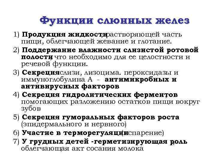 Функции слюнных желез 1) Продукция жидкости , растворяющей часть пищи, облегчающей жевание и глотание.