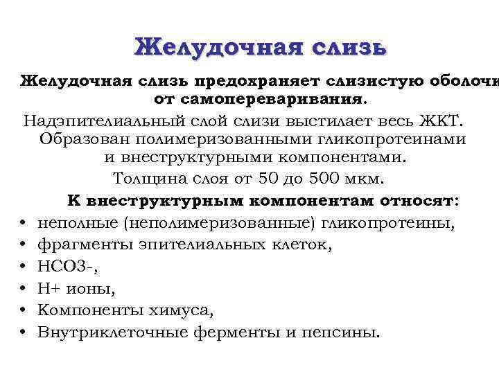 Желудочная слизь предохраняет слизистую оболочк от самопереваривания. Надэпителиальный слой слизи выстилает весь ЖКТ. Образован