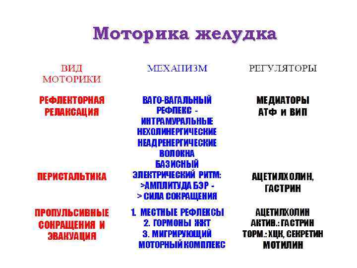 Моторика желудка 