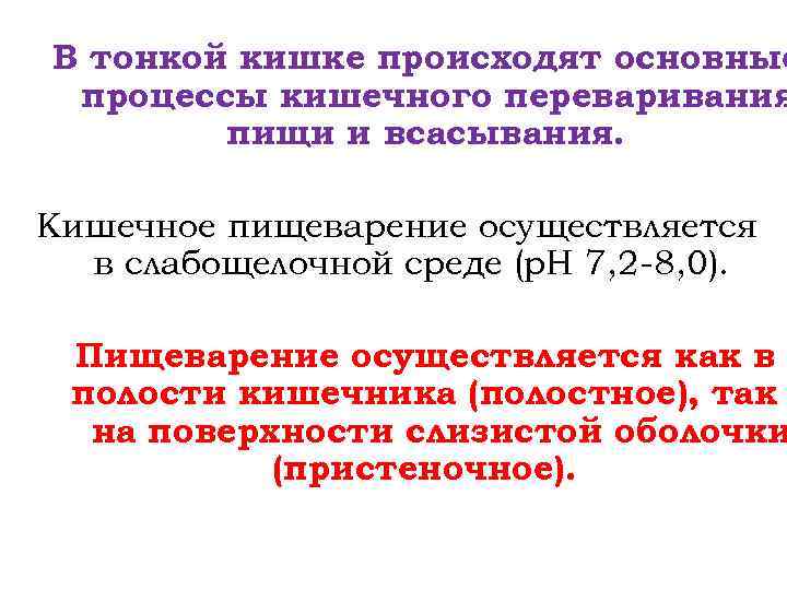 В тонкой кишке происходят основные процессы кишечного переваривания пищи и всасывания. Кишечное пищеварение осуществляется