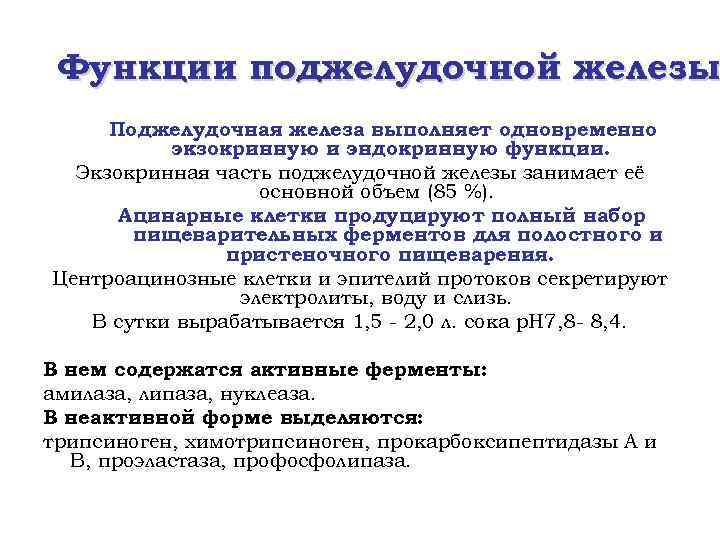 Функции поджелудочной железы Поджелудочная железа выполняет одновременно экзокринную и эндокринную функции. Экзокринная часть поджелудочной