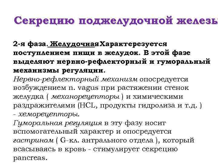 Секрецию поджелудочной железы 2 -я фаза. Желудочная Характерезуется. поступлением пищи в желудок. В этой