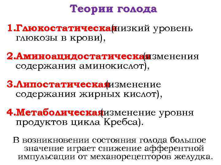Теории голода 1. Глюкостатическая (низкий уровень глюкозы в крови), 2. Аминоацидостатическая (изменения содержания аминокислот),