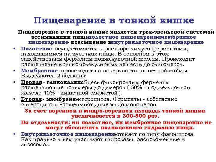 Пищеварение в тонкой кишке • • • Пищеварение в тонкой кишке является трех-звеньевой системой