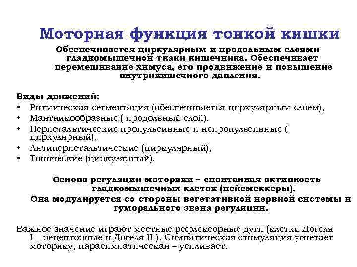 Моторная функция тонкой кишки Обеспечивается циркулярным и продольным слоями гладкомышечной ткани кишечника. Обеспечивает перемешивание
