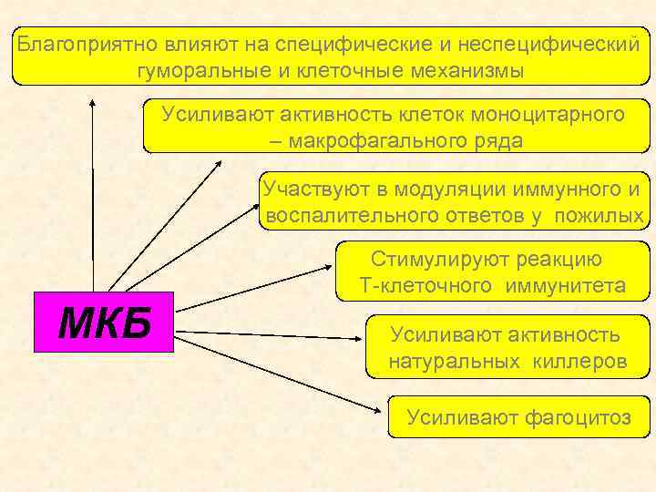 Благоприятно влияют на специфические и неспецифический гуморальные и клеточные механизмы Усиливают активность клеток моноцитарного