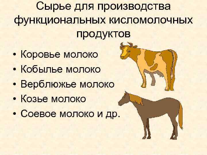 Сырье для производства функциональных кисломолочных продуктов • • • Коровье молоко Кобылье молоко Верблюжье