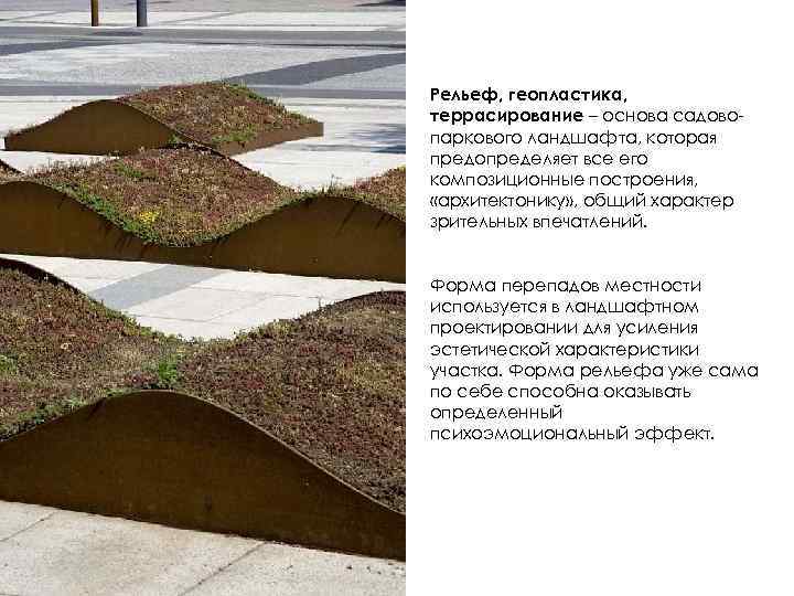 Рельеф, геопластика, террасирование – основа садовопаркового ландшафта, которая предопределяет все его композиционные построения, «архитектонику»