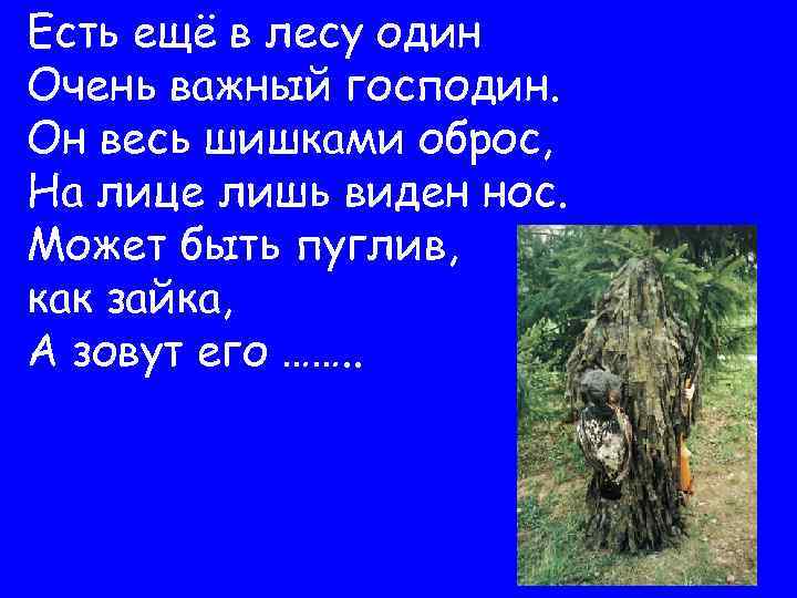 Есть ещё в лесу один Очень важный господин. Он весь шишками оброс, На лице