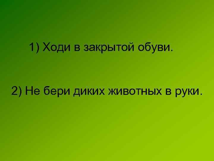 1) Ходи в закрытой обуви. 2) Не бери диких животных в руки. 