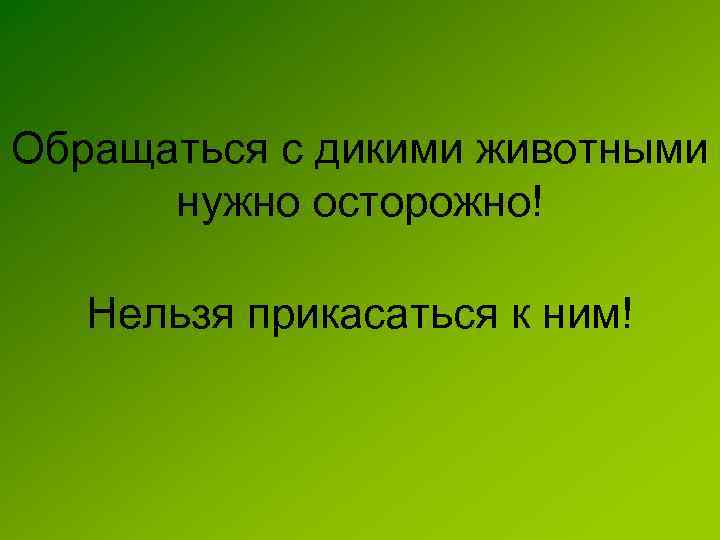 Обращаться с дикими животными нужно осторожно! Нельзя прикасаться к ним! 