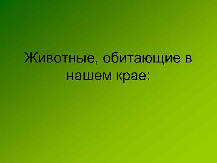 Животные, обитающие в нашем крае: 
