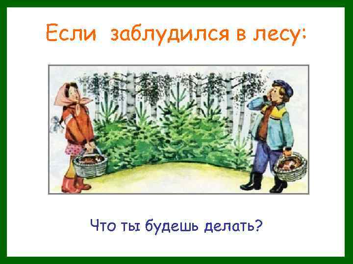 Если заблудился в лесу: Что ты будешь делать? 