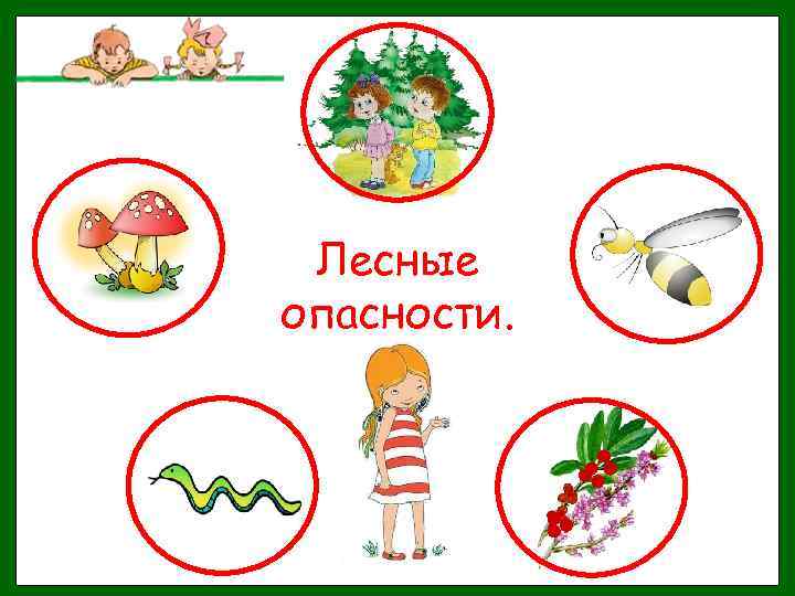 Лесные опасности. 