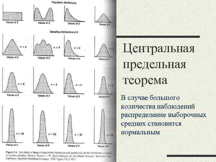 Центральная предельная теорема В случае большого количества наблюдений распределение выборочных средних становится нормальным 