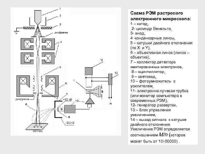 Сканирующий электронный микроскоп схема