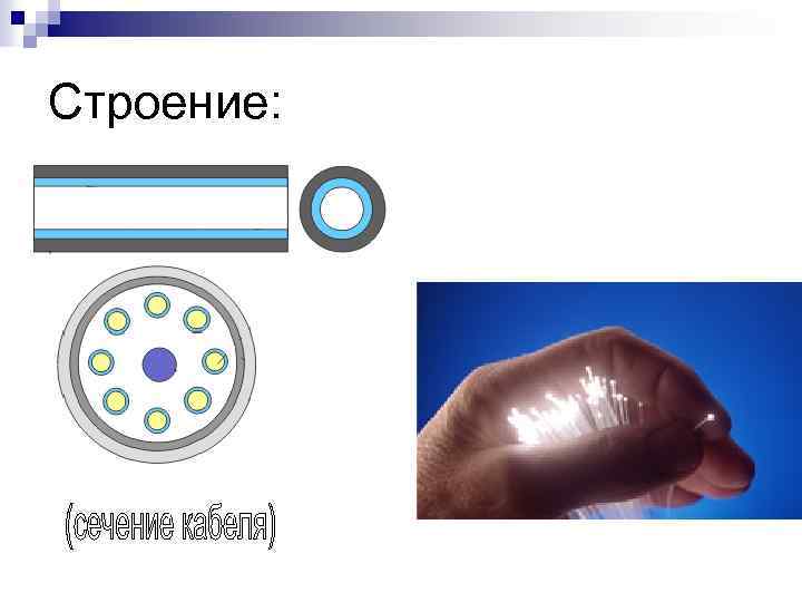 Строение: 