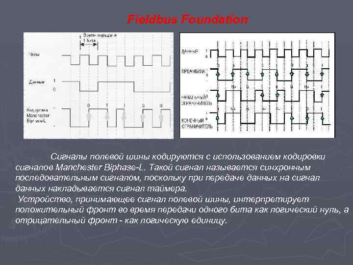 Fieldbus Foundation Сигналы полевой шины кодируются с использованием кодировки сигналов Manchester Biphase-L. Такой сигнал