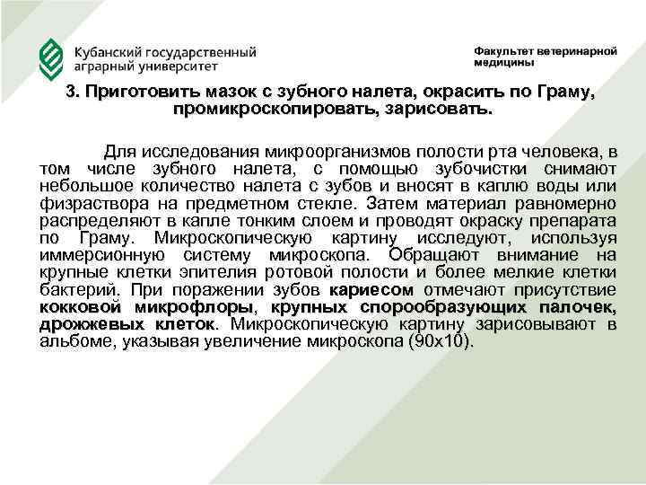 3. Приготовить мазок с зубного налета, окрасить по Граму, промикроскопировать, зарисовать. Для исследования микроорганизмов