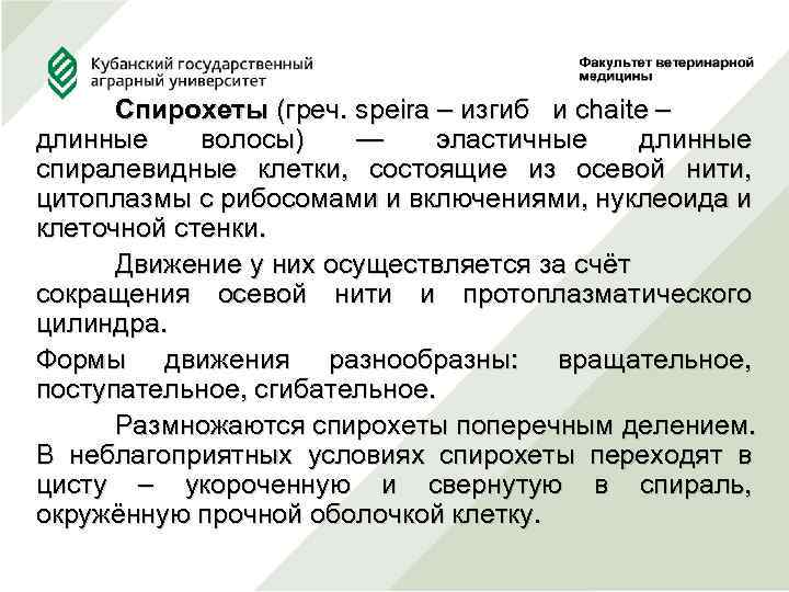 Спирохеты (греч. speira – изгиб и chaite – длинные волосы) — эластичные длинные спиралевидные