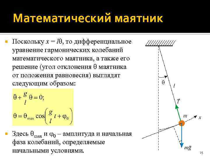 Математический маятник Поскольку x = l , то дифференциальное уравнение гармонических колебаний математического маятника,