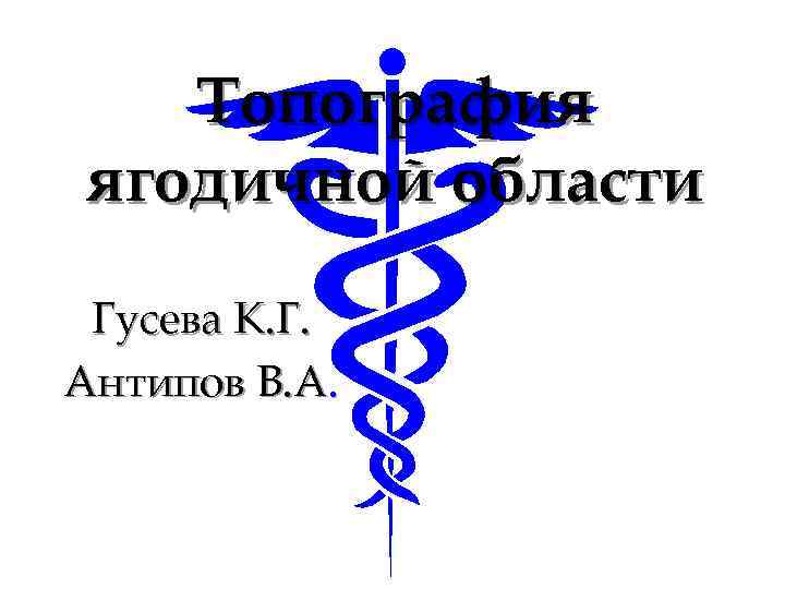 Топография ягодичной области Гусева К. Г. Антипов В. А. 