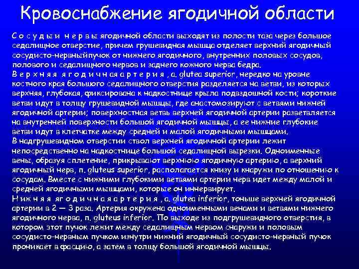 Кровоснабжение ягодичной области С о с у д ы и н е р в